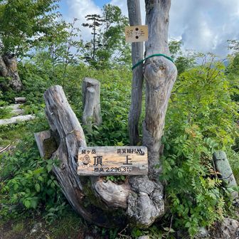 経ヶ岳山頂。ガスって眺望はありませんでした。