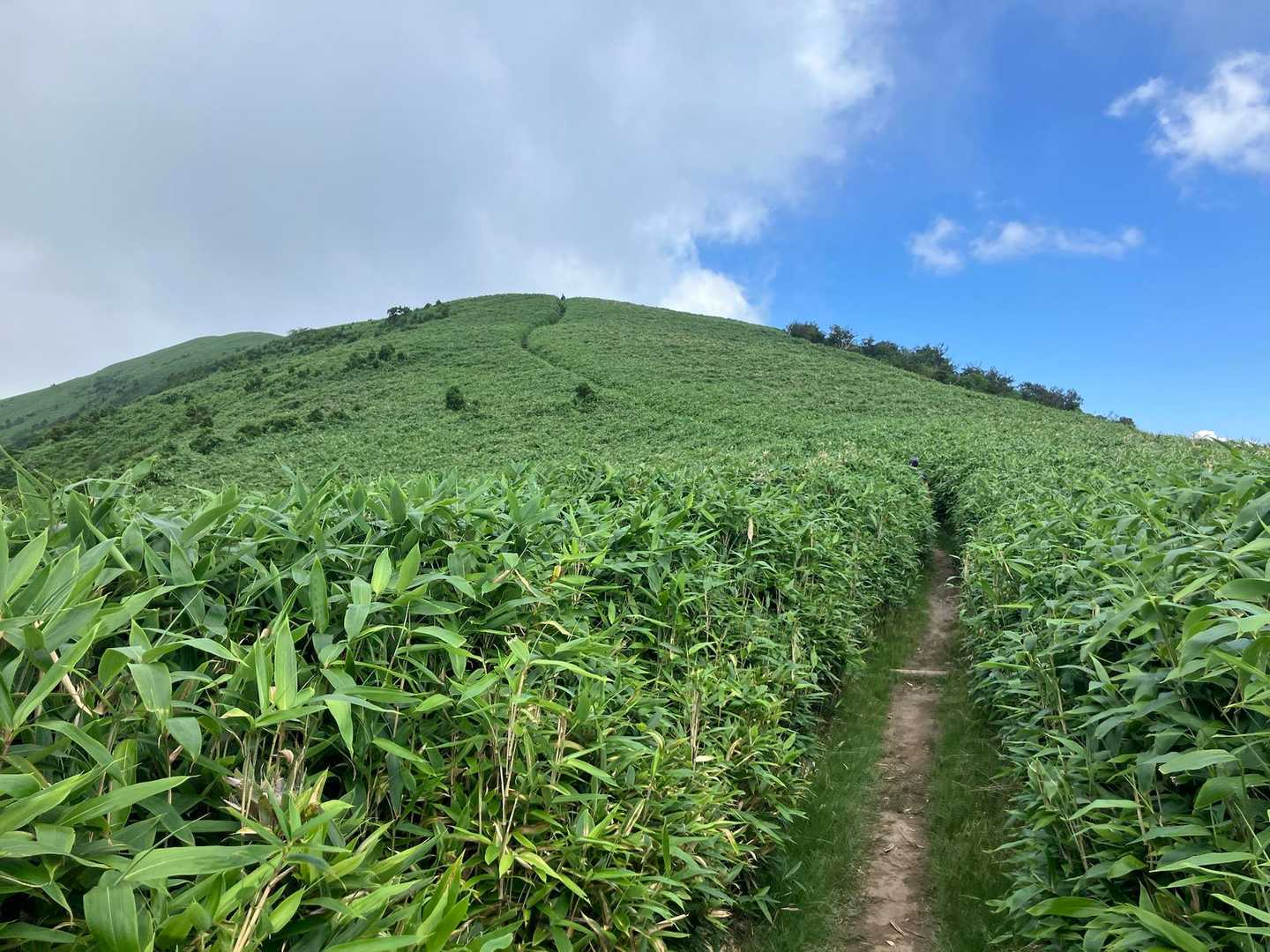 達磨山への登り💦