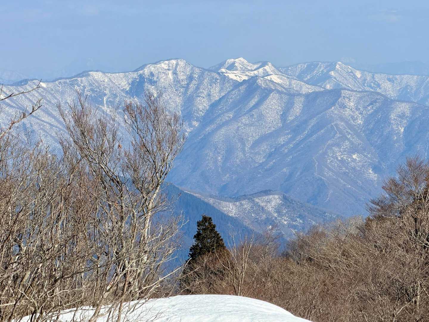 正面の山が気になる〜と思っていたら、
小津権現山と白薔薇と呼ばれる花房山だと
帰ってから知りました🥸