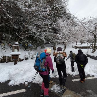 でもみんなで出発だぁ〜⤴︎❄️