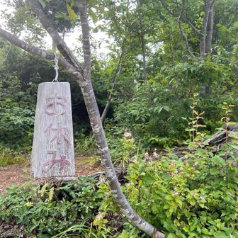 お盆太りで思うように足が前に出ず…お休み所で水分補給。