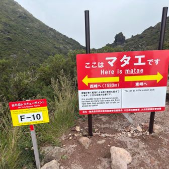 マタエから正面道で下りて
　途中分岐で東道へ登り返し、周回します。
　　遠征に向けてのいい鍛錬になりました。😊