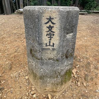はま