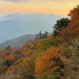 朝日に優しく照らされ、紅葉もより一層映える