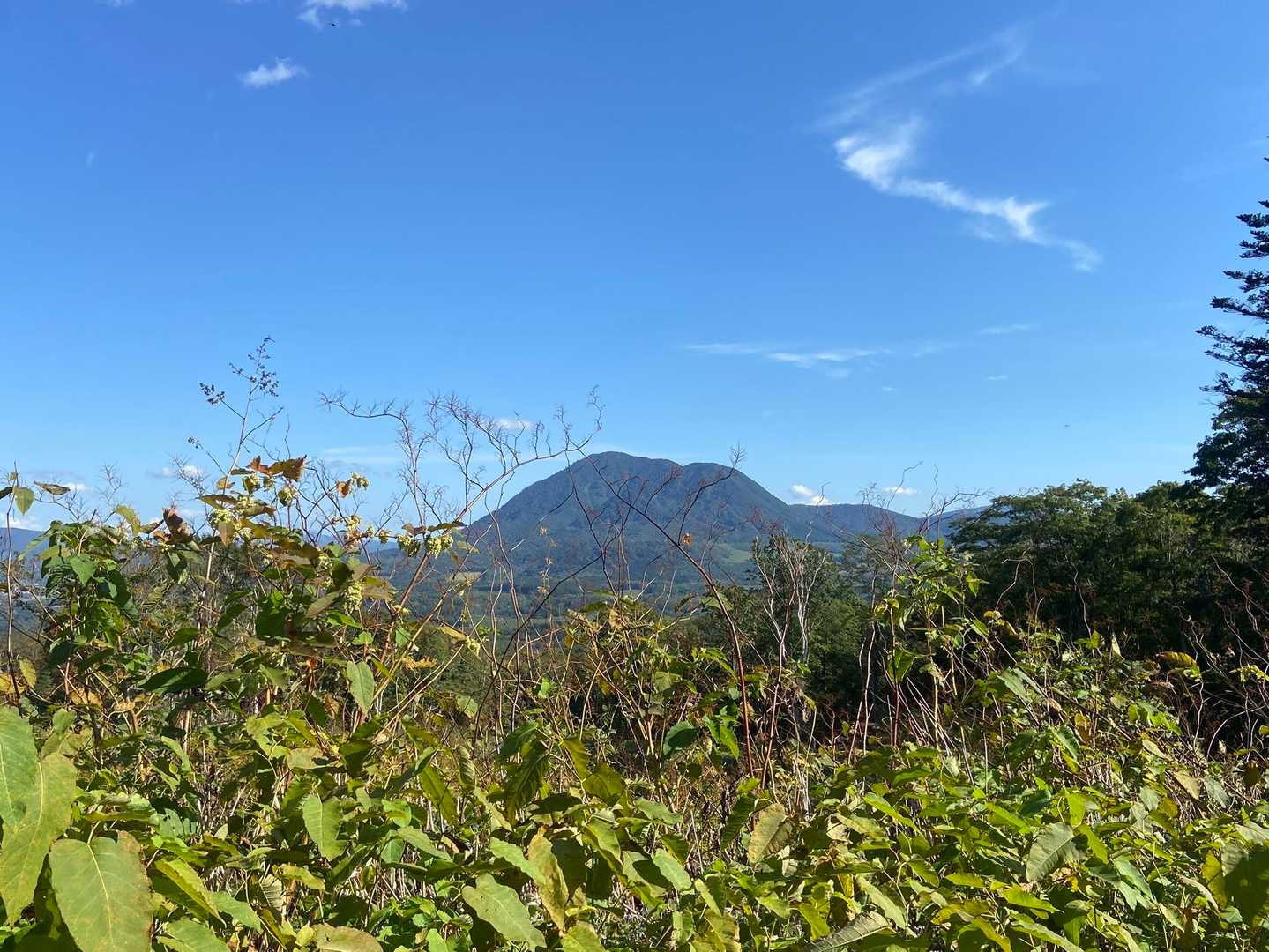 尻別岳撮ってたら
林道に吸い寄せられて
道間違ってしまった😅