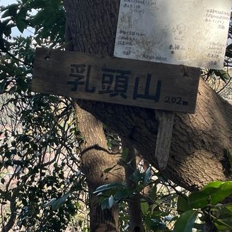 もう今日のピークはこれでおしまい。