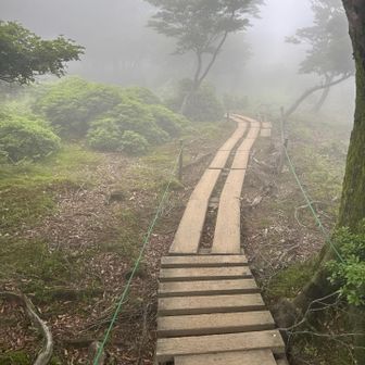 整備が、されていて、歩き易い！