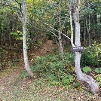 入山〜
手前が凹なのでここに停めるのは難しい？