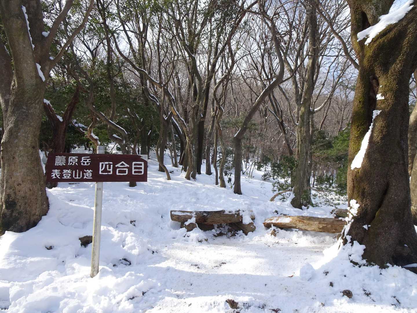 石榑峠-竜ヶ岳-銚子岳-治田峠-多志田山-藤原岳-藤原岳登 縦走コースの写真