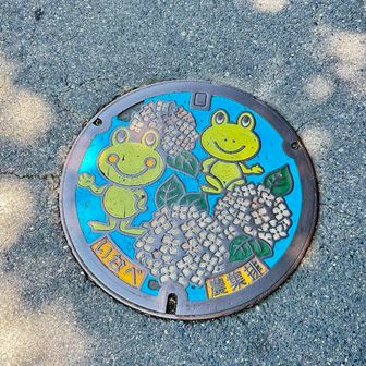 この季節にベストマッチなマンホール