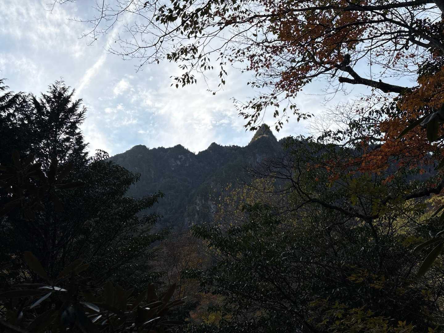 鶏冠の尾根