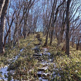 最後こちらを登って…！