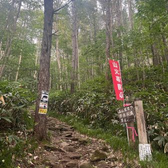 【平元新道登山口】
ここに出ました