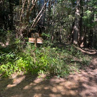 ガベノ城へ