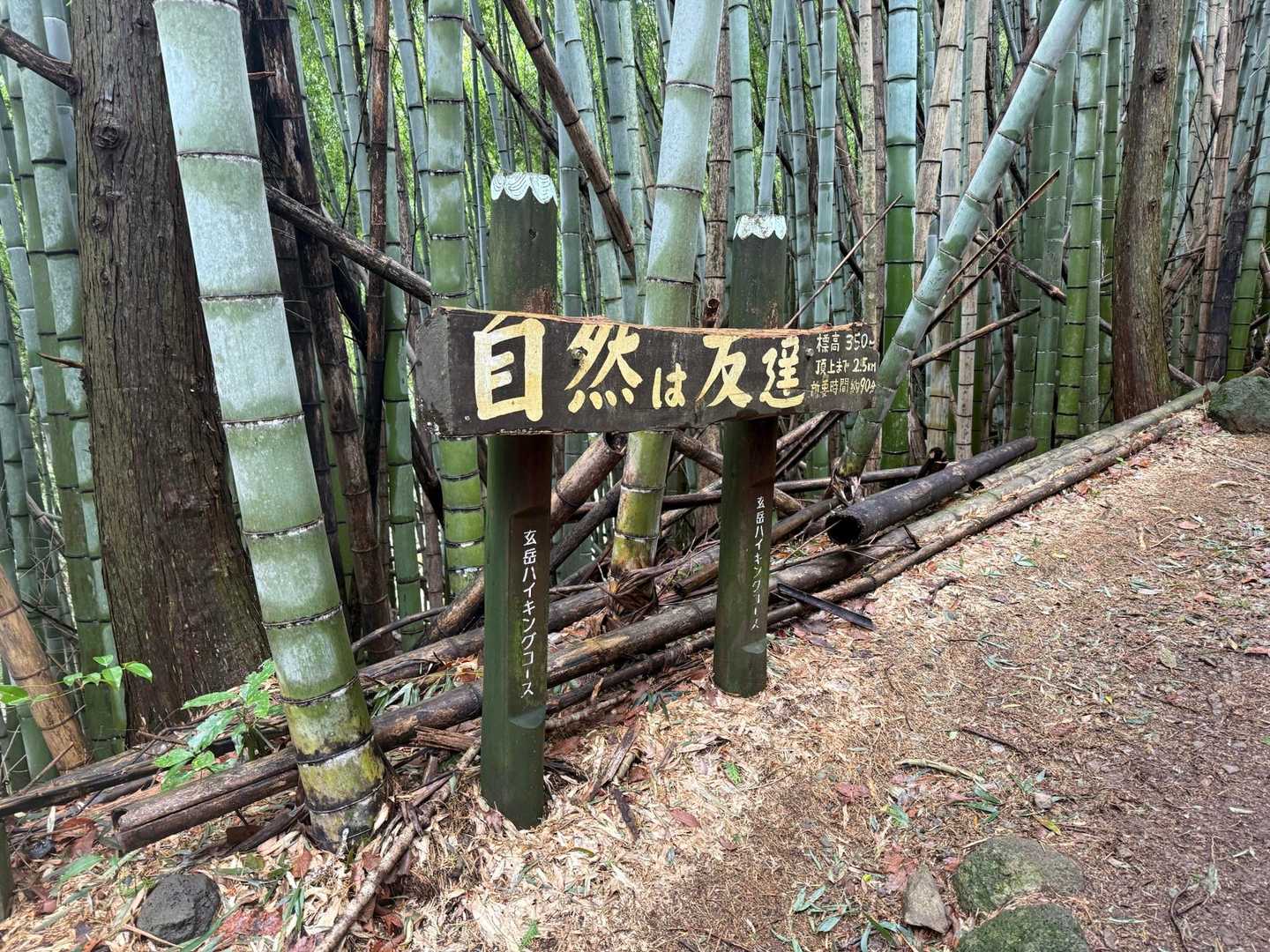 玄岳ハイクコース入口バス停-玄岳ハイクコース入口-玄岳-玄 往復コースの写真