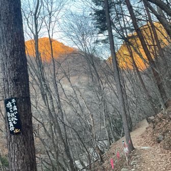 まさにその通り！