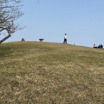 ねっ転びたい山頂