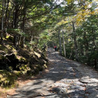 諦め肝心、下山は山道選ばずバス停目指します🚌
この登りが傾斜1番キツかった😱