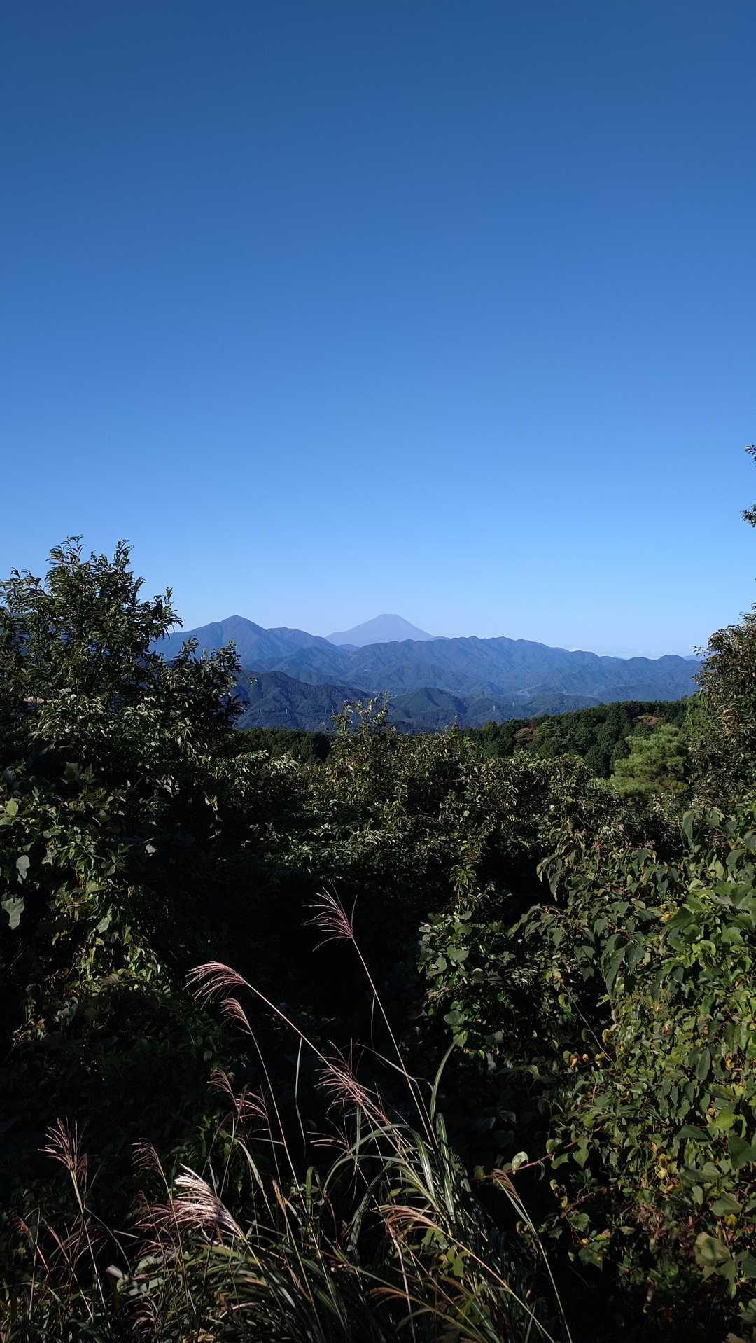 途中からも富士山💙