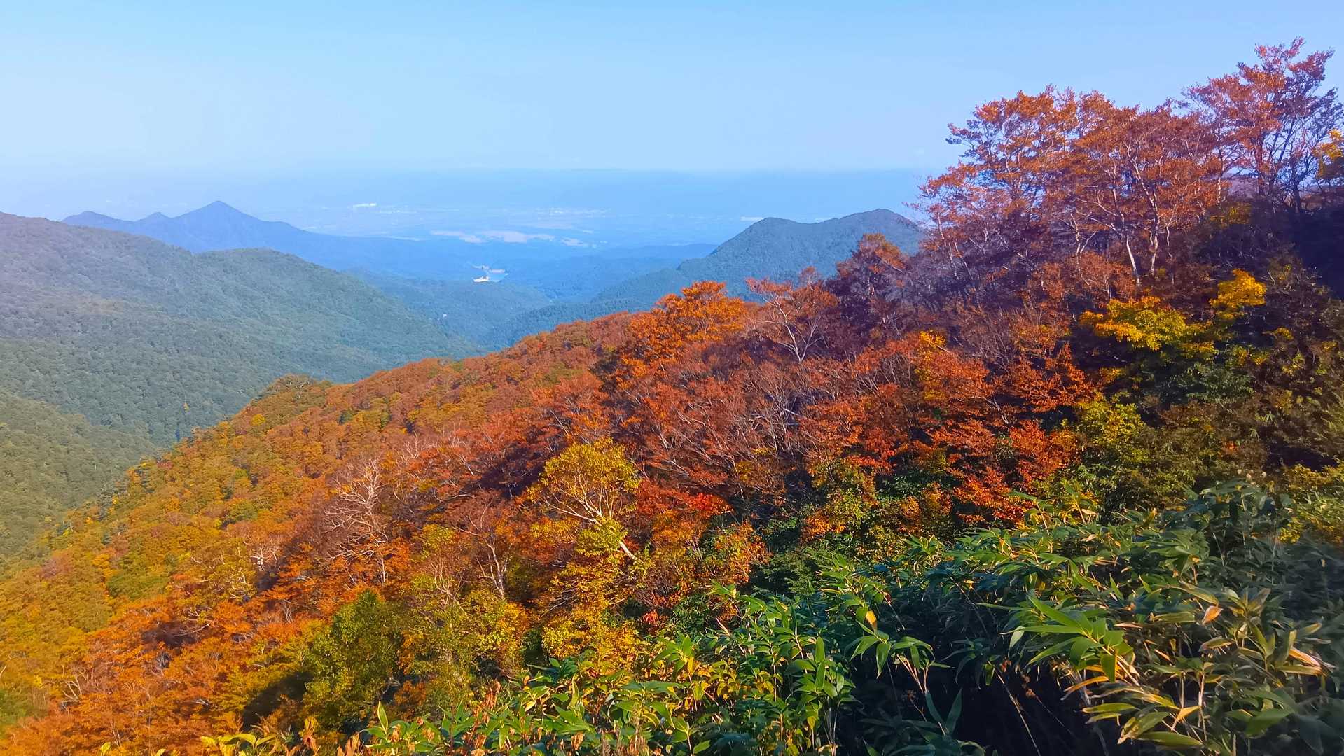 牛形山 往復コースの写真