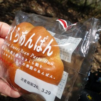 ここで、昼食に差し入れのパンをよばれてから次は五助山に向かいます♪
