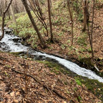 なんだっけ？滝だよ。