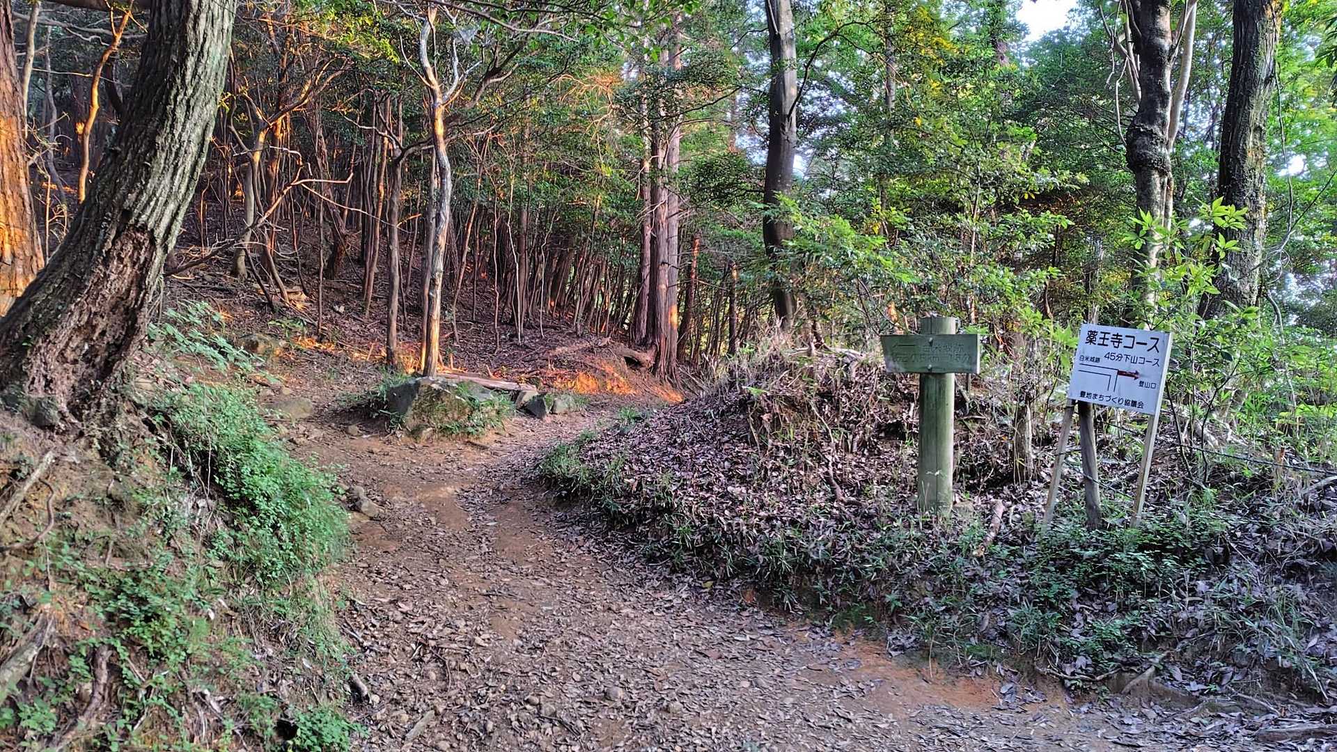 直登、巻道、藥王寺分岐