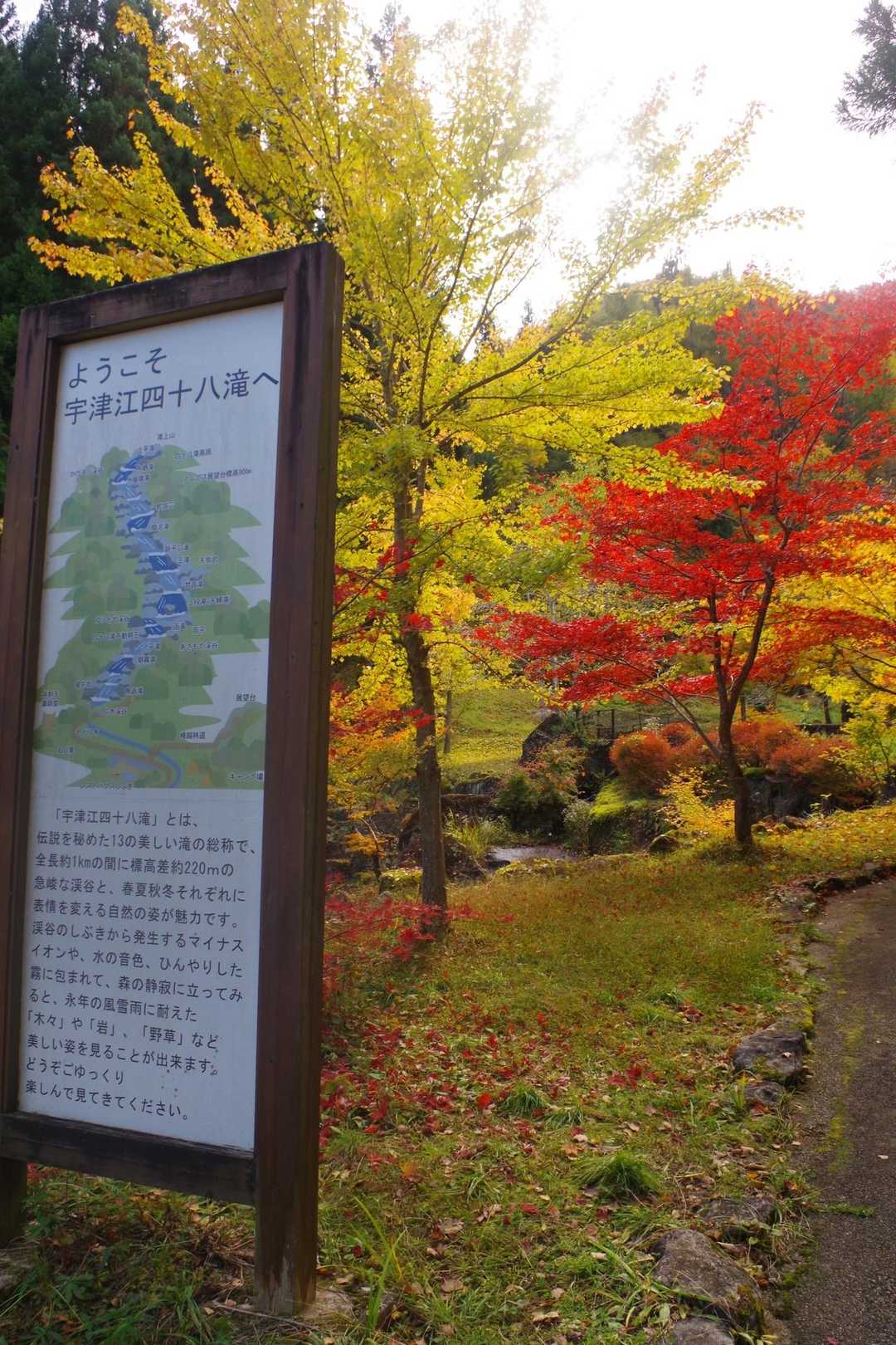 宇津江四十八滝駐車場発着｜宇津江四十八滝往復コースの写真
