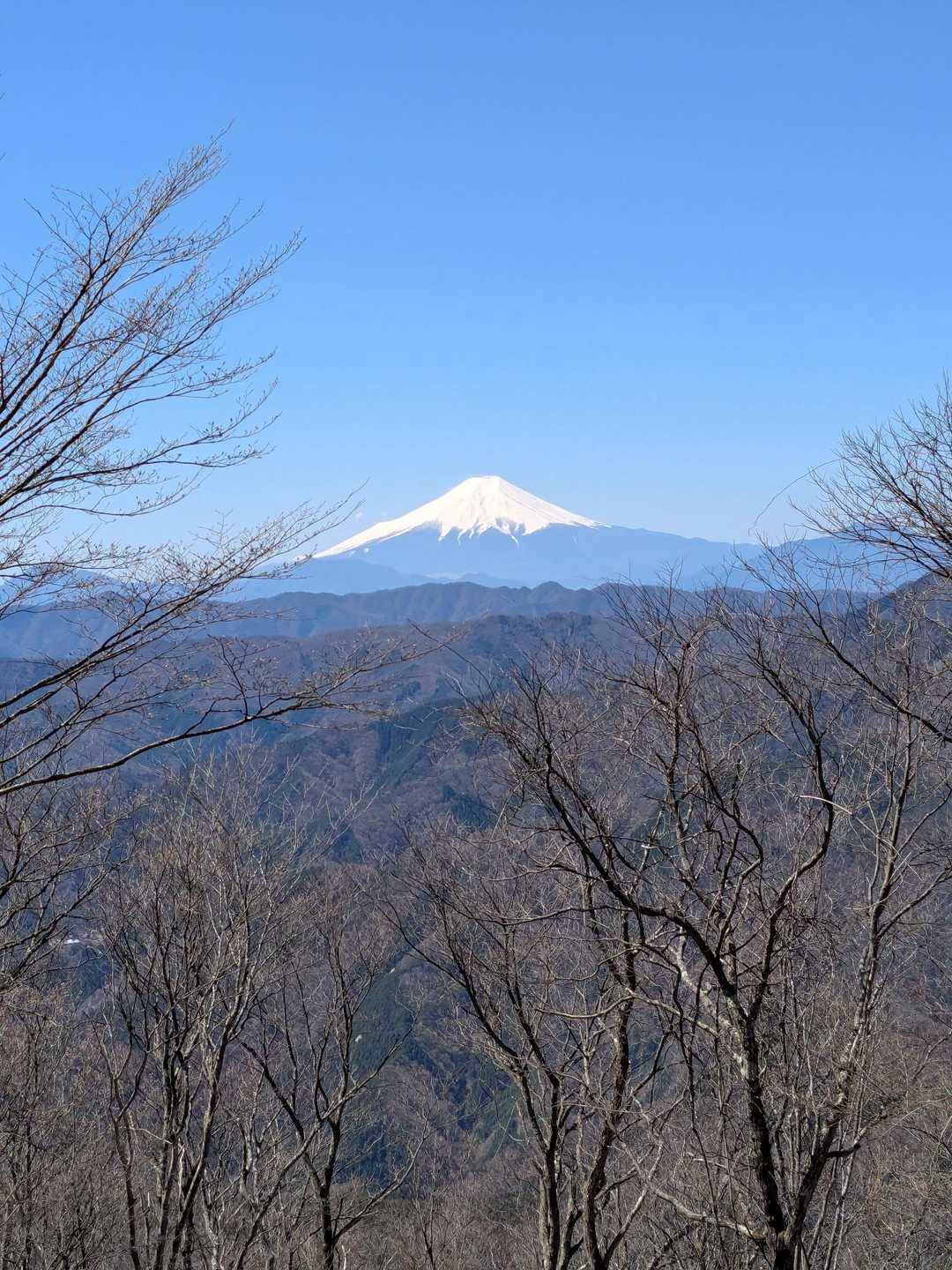 奥多摩湖いこいの路入口-指沢山-惣岳山-御前山-境橋バス停 縦走コースの写真