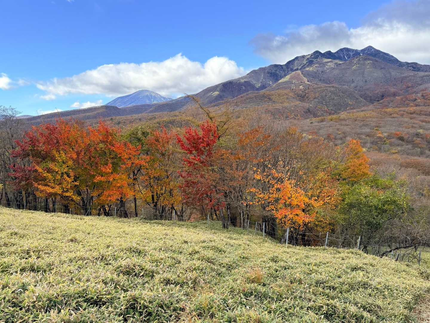 大山 往復コースの写真