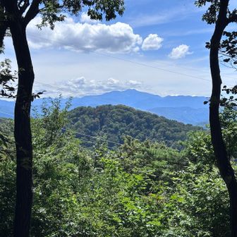 妻を説得して白山行けば良かった