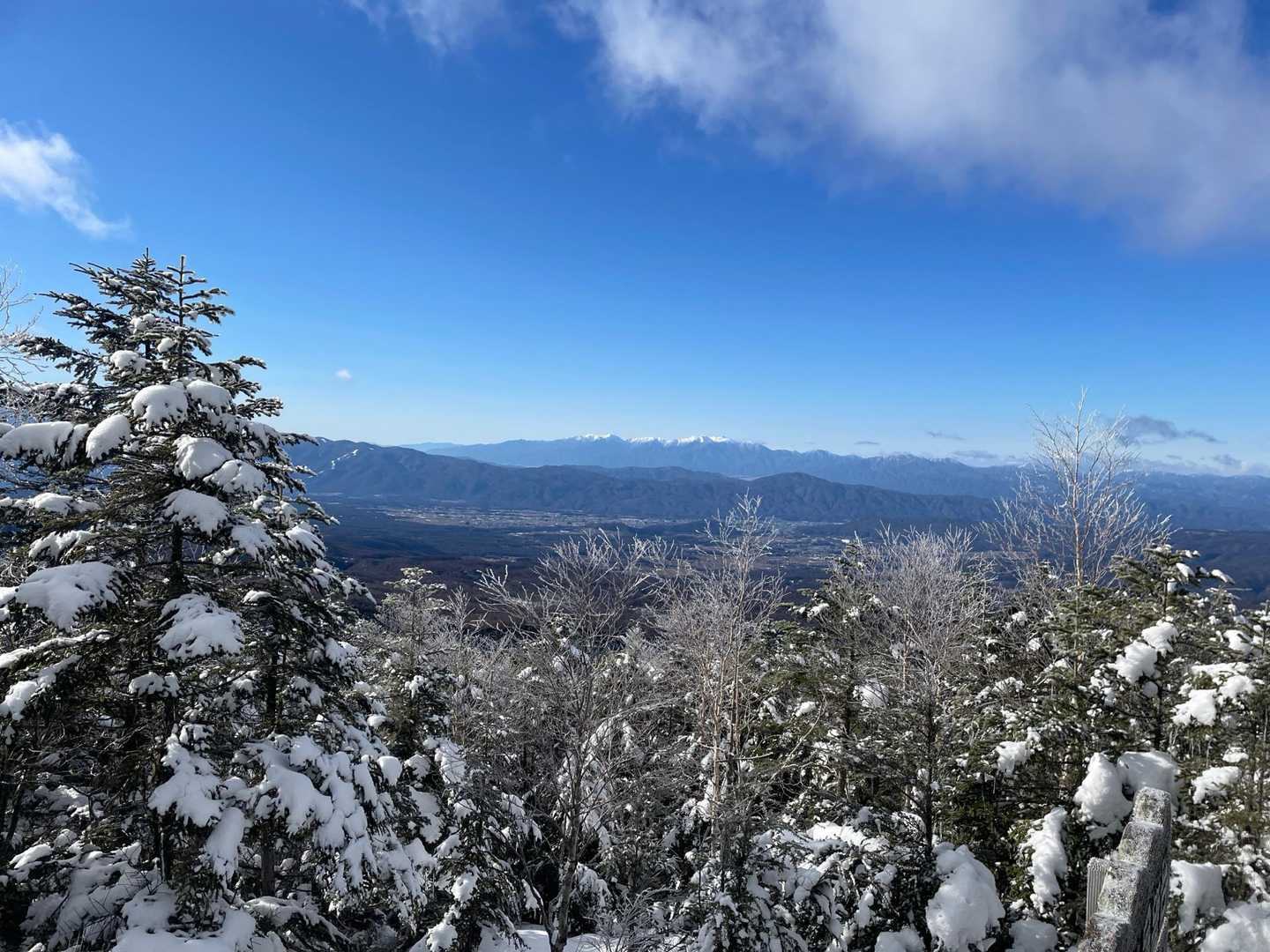 麦草峠-白駒池入口-山頂駅 往復コースの写真