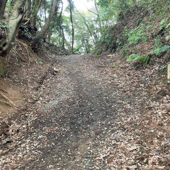 鐘を見つける
お釜のような感じだ