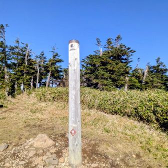 スタートから5時間弱😁
苗場山登頂✨