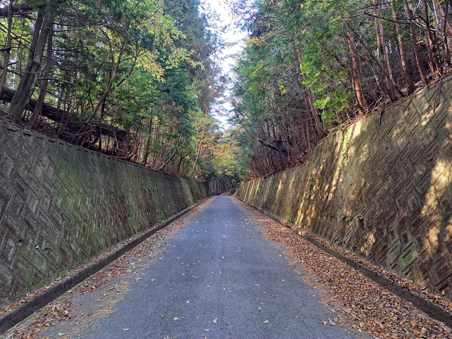 ホントひたすら歩く🚶