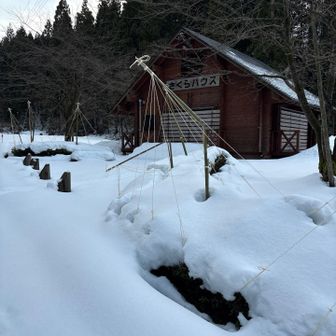 雪釣りは良いですネ