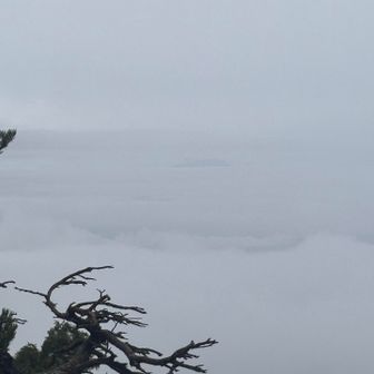 ほら！富士山！