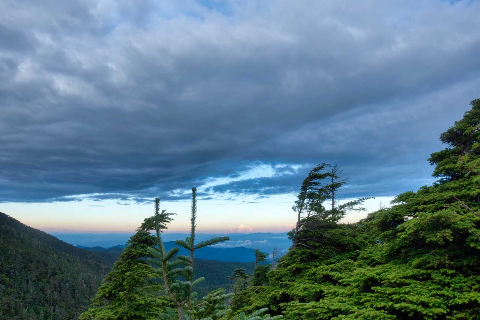 景色はいいですが、この後もっと良くなったので・・・