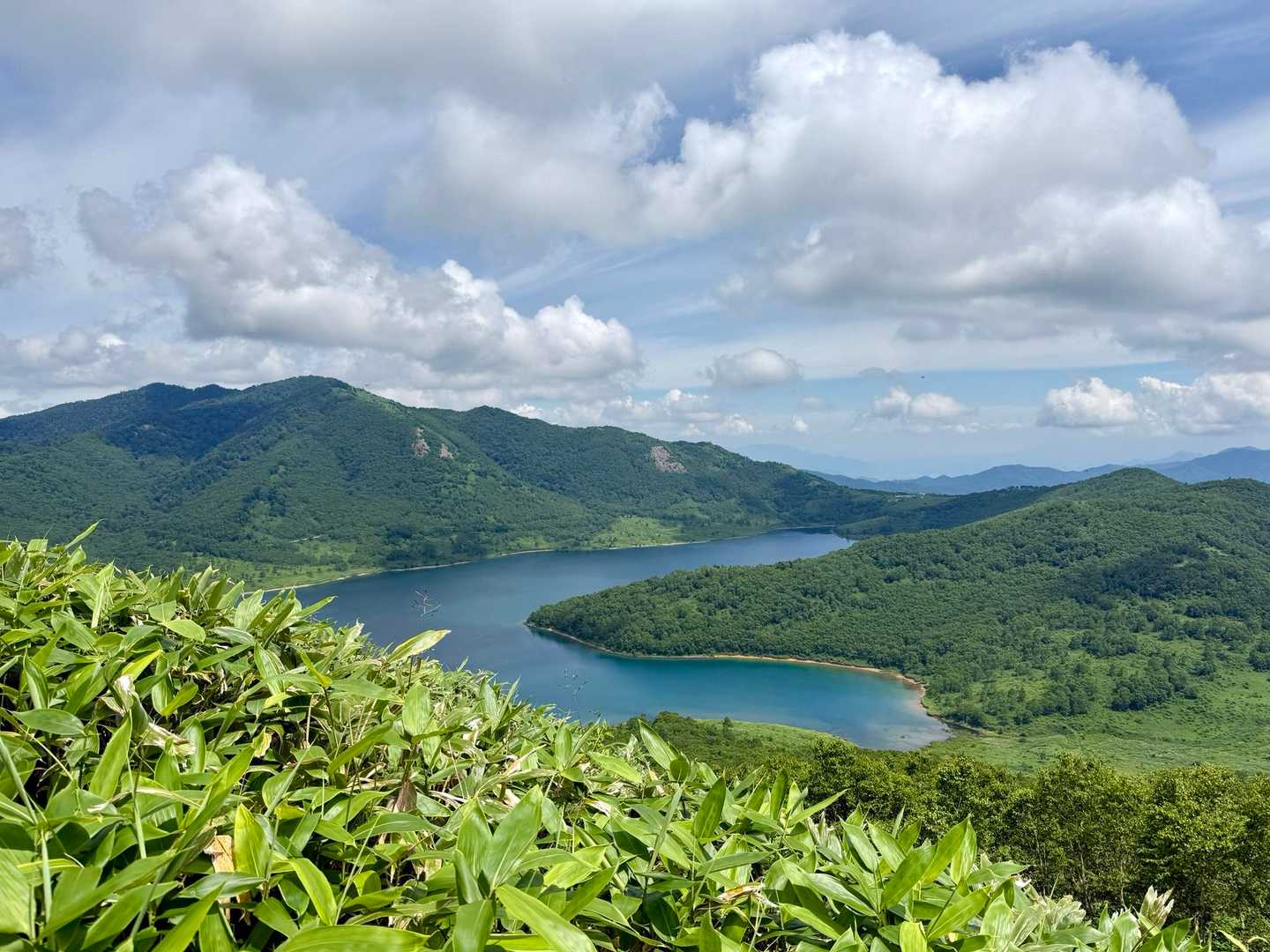 野反湖ビジターセンター-三壁山-高沢山-エビ山 周回コースの写真