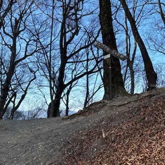 稜線に出ました