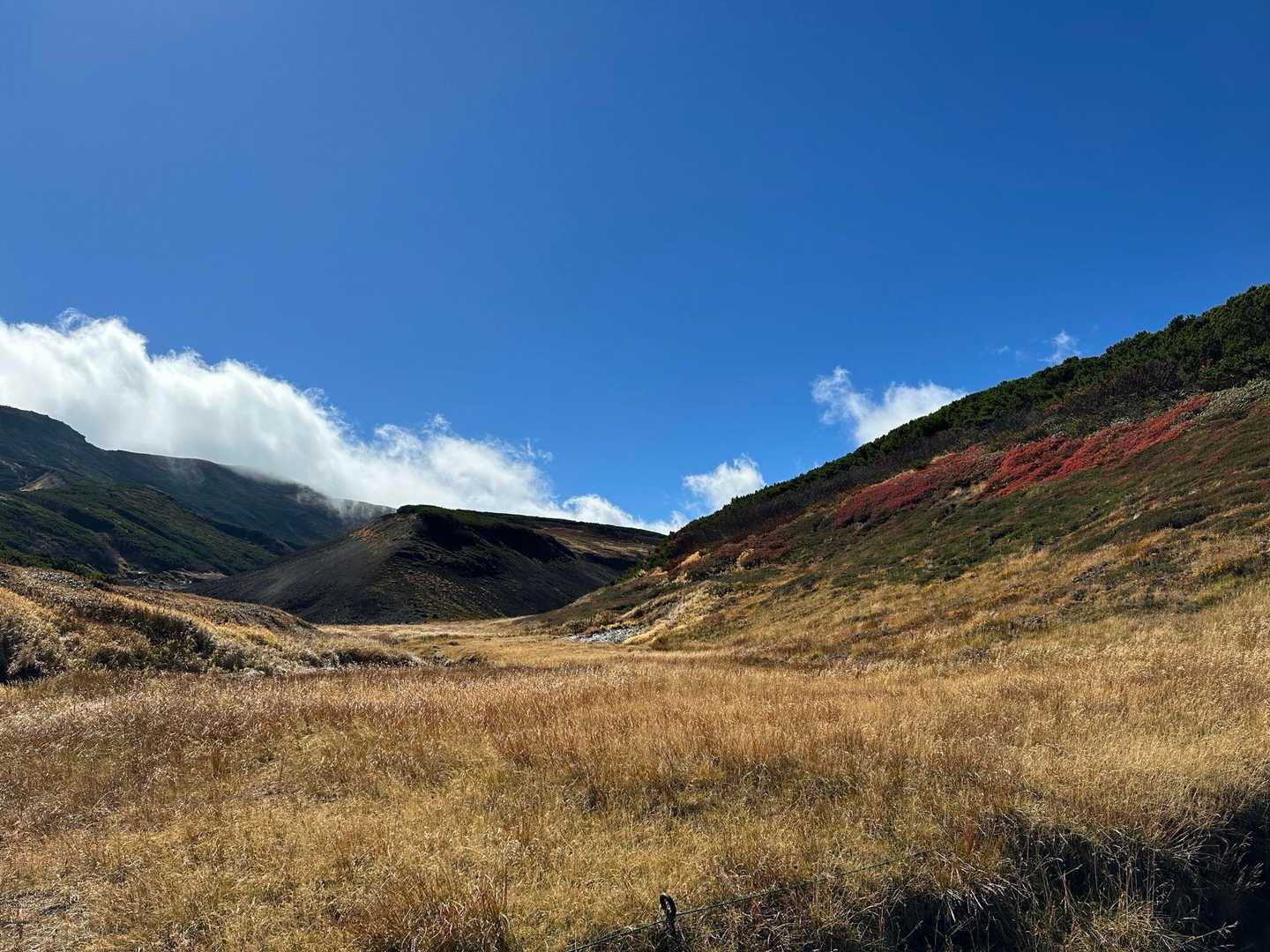 赤岳登山口-第一花園-赤岳-北海岳-黒岳-七合目リフト駅 縦走コースの写真