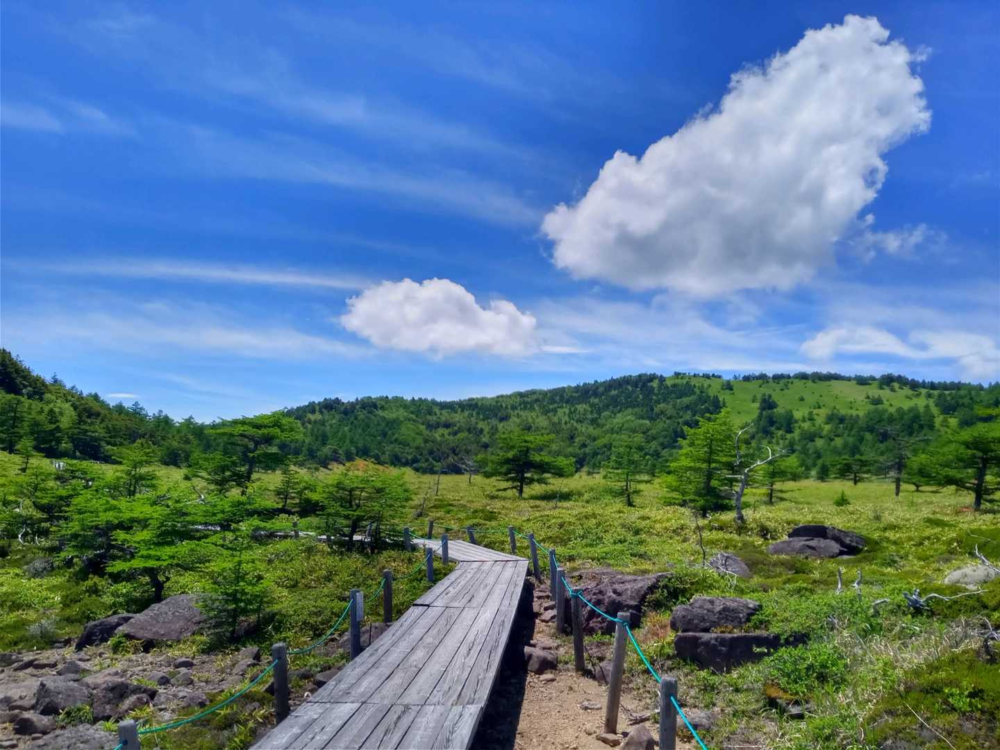 池ノ平湿原入口-雷の丘-雲上の丘-見晴岳-三方ヶ峰 周回コースの写真