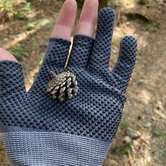 松ぼっくりミニ