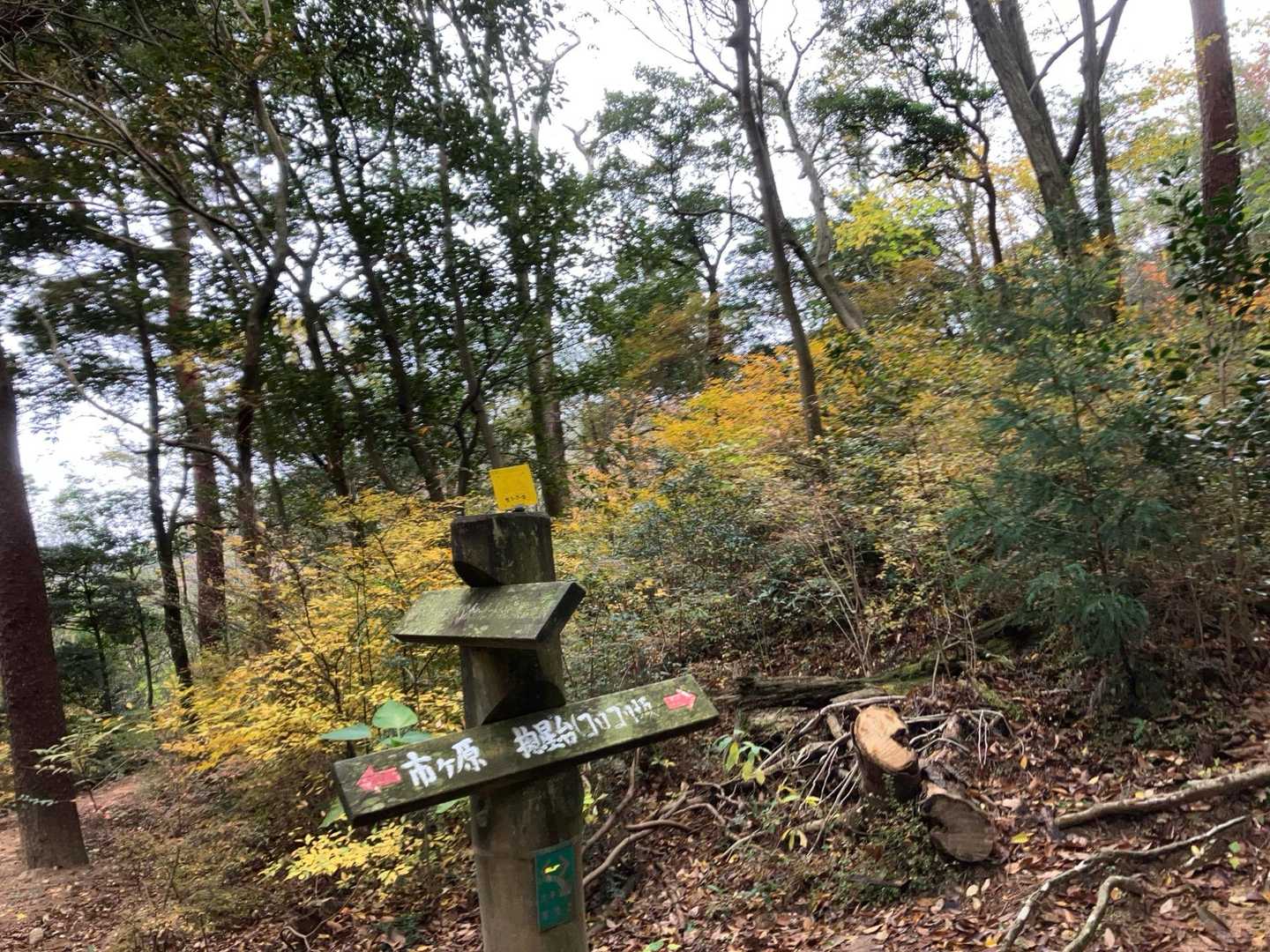 天狗道に合流しました
もうすぐ摩耶山⛰️