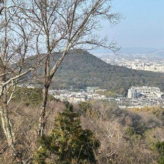 眼下に畝傍山も見えています👀
