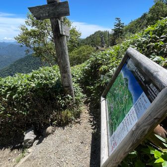 合流点に