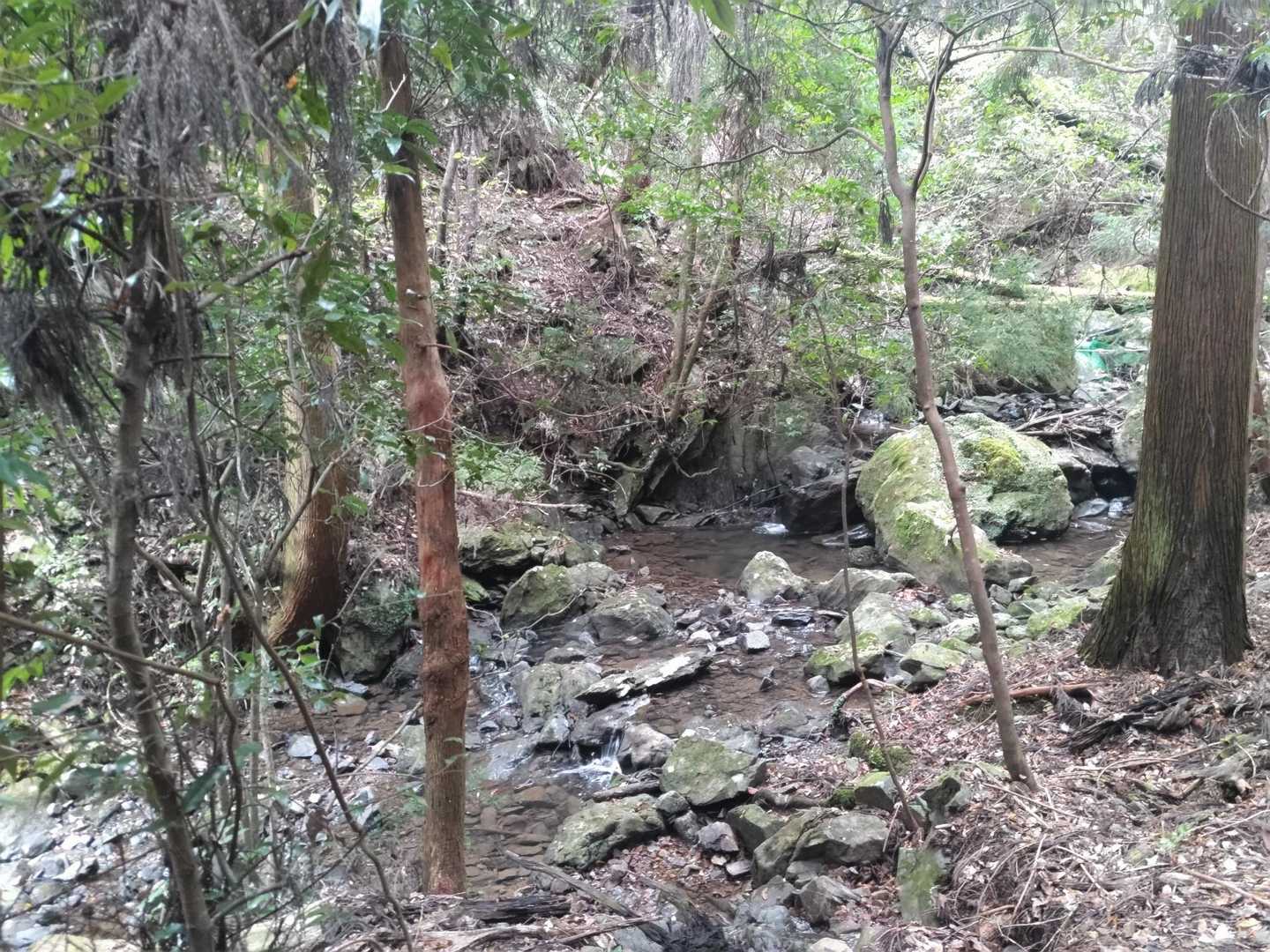 濡れていてコケました