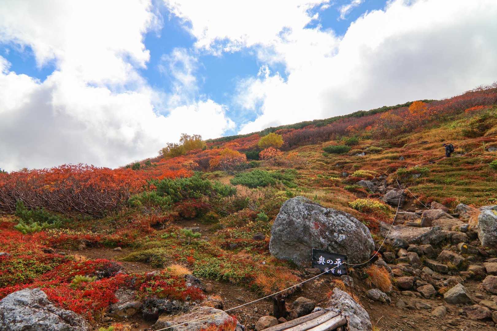 赤岳登山口-第一花園-赤岳 往復コースの写真