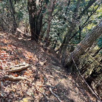 厳しいところにはロープがあります