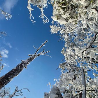 青空と雪がめっちゃ綺麗🥰
来て良かったぁ😊